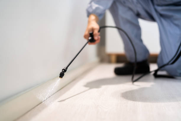 Licensed Termite Control service in Lauderdale Lakes, WI - Nex Pest Control