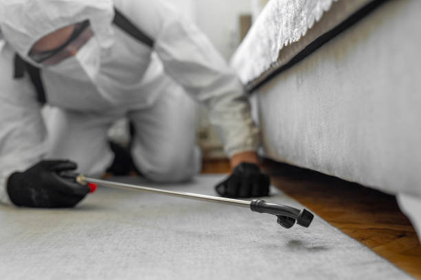 Professional Termite Control technician working in Lauderdale Lakes, WI