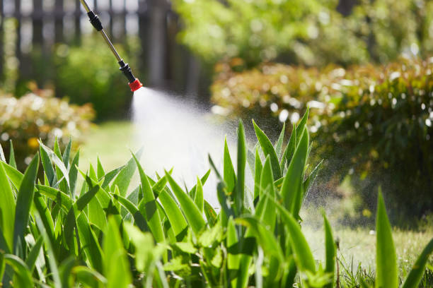 24/7 Emergency Termite Control experts in Lauderdale Lakes, WI