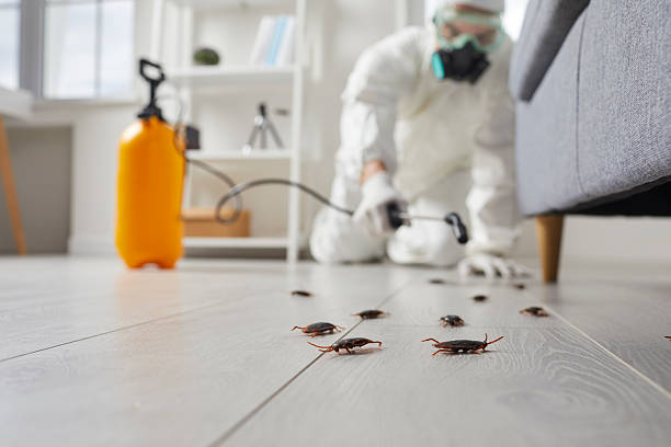 Trusted Cockroach Control service in Lauderdale Lakes, WI - Nex Pest Control